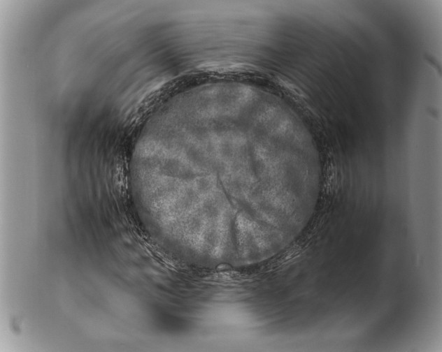 X0000099930966200806131359