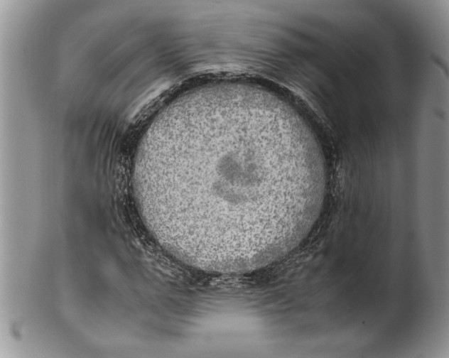 X0000099930967200806131359