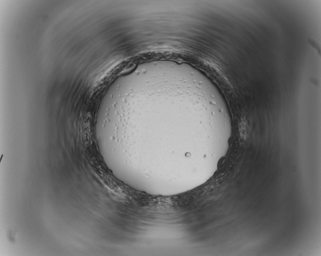 X0000099930968200806131359