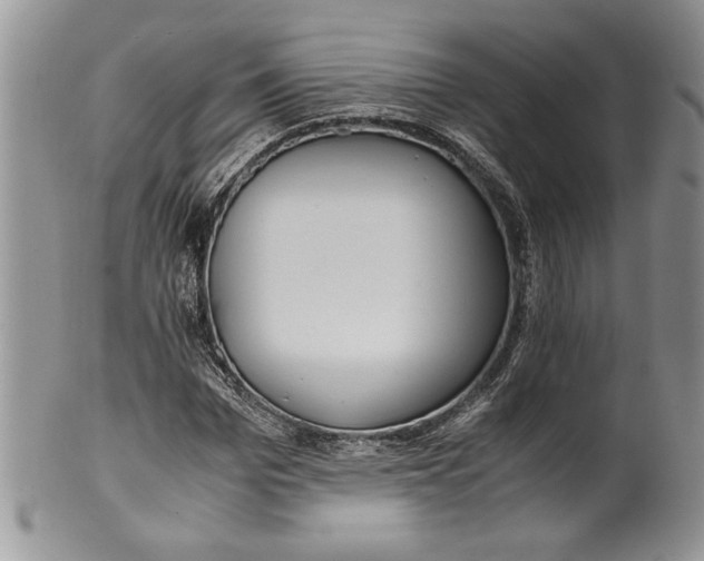 X0000099930969200806131359