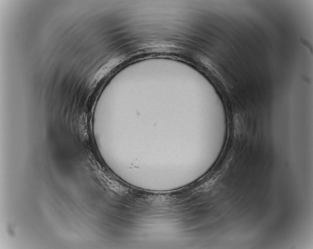 X0000099930970200806131359