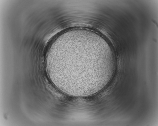 X0000099930971200806131359