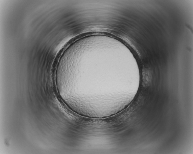 X0000099930972200806131359