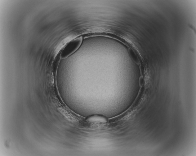 X0000099930973200806131359