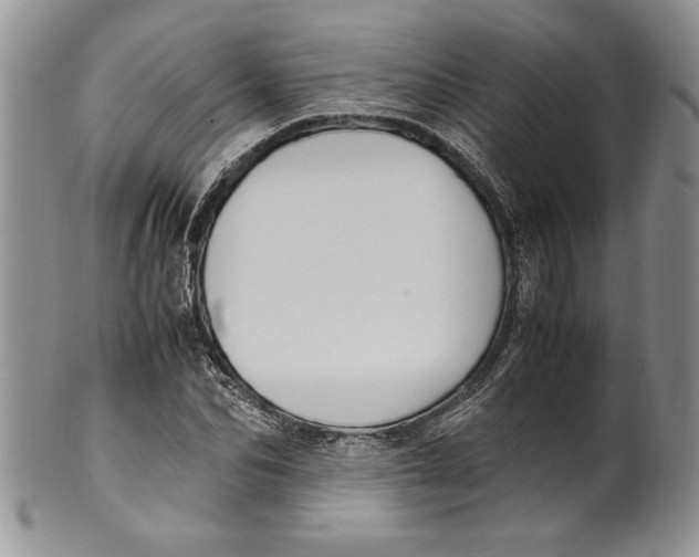 X0000099930974200806131359