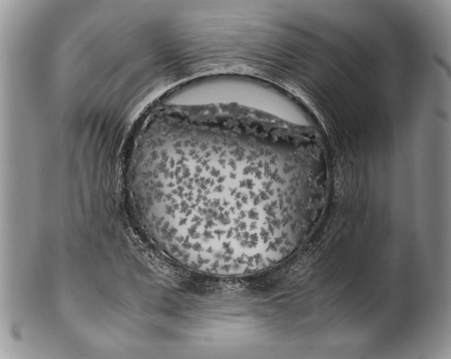 X0000099930975200806131359