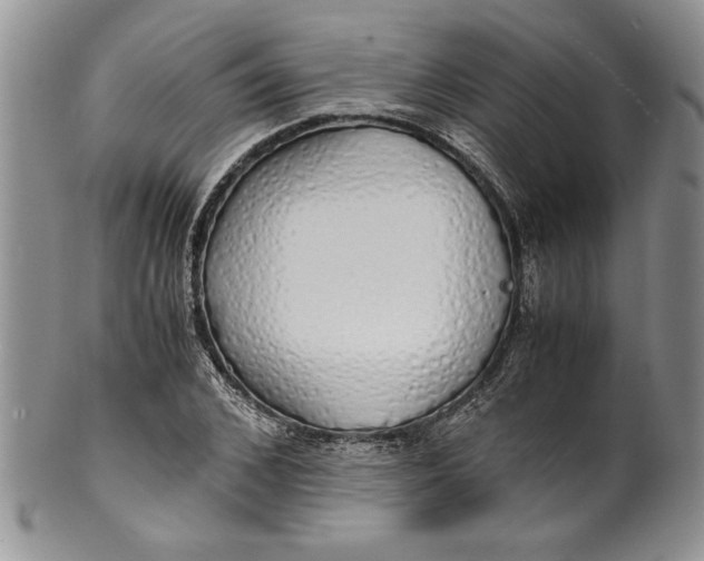 X0000099930976200806131359