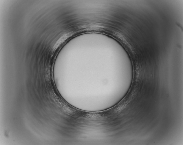 X0000099930978200806131358