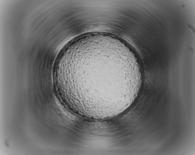 X0000099930980200806131358