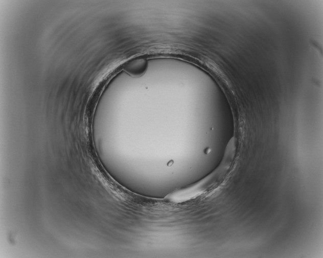 X0000099930981200806131358