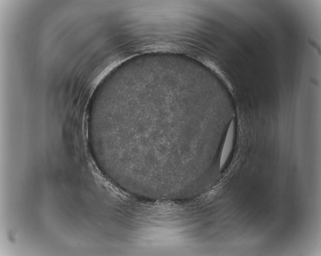 X0000099930983200806131358