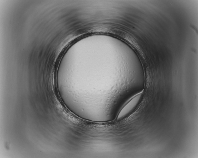 X0000099930984200806131358