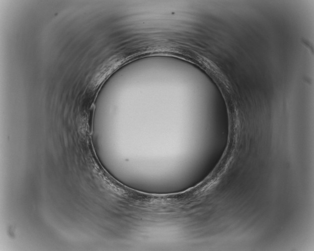 X0000099930985200806131358