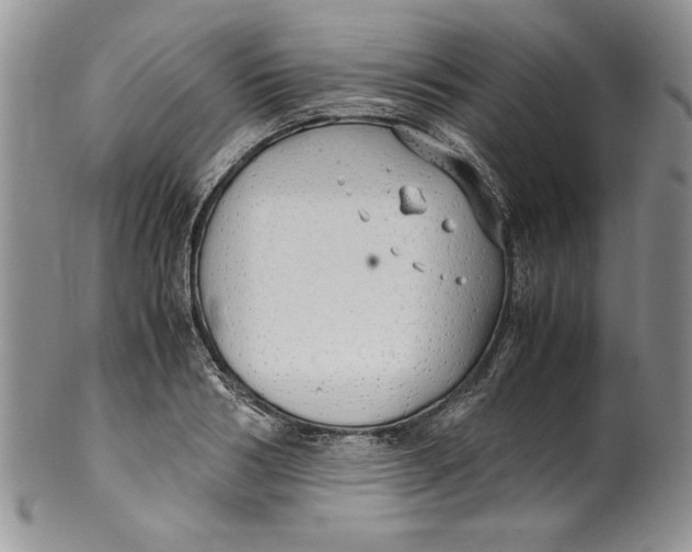 X0000099930986200806131358