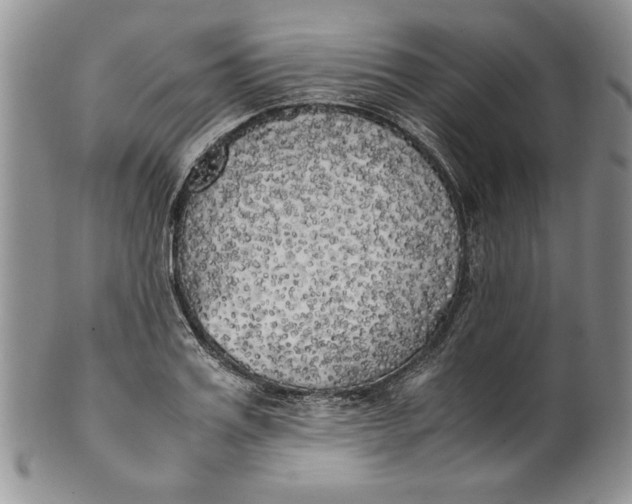 X0000099930987200806131358