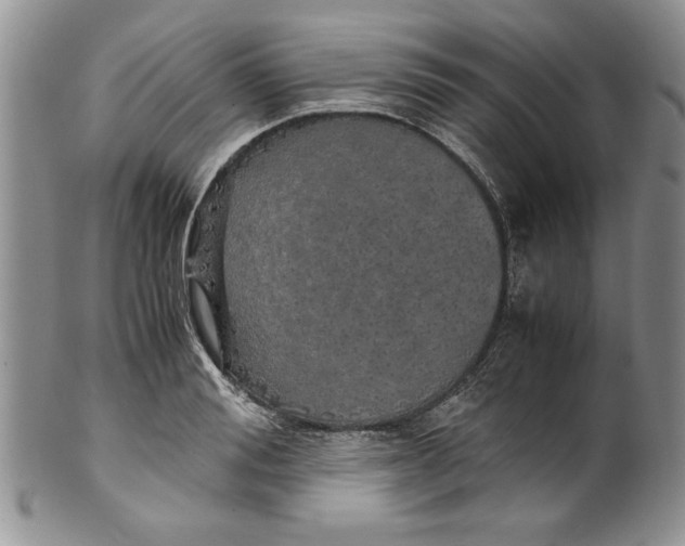 X0000099930988200806131358