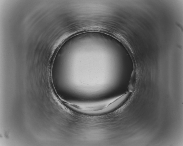 X0000099930989200806131358