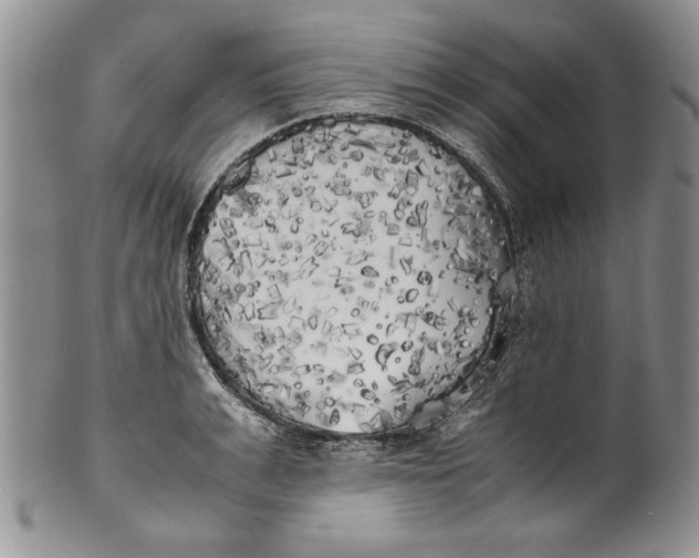 X0000099930991200806131358