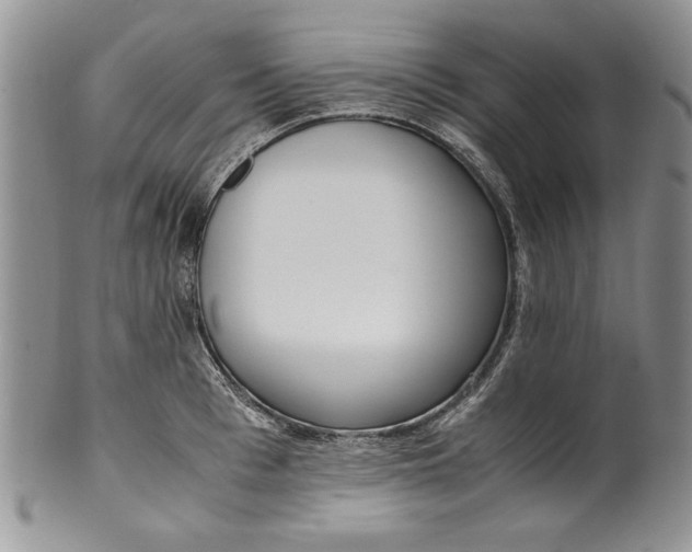 X0000099930993200806131358