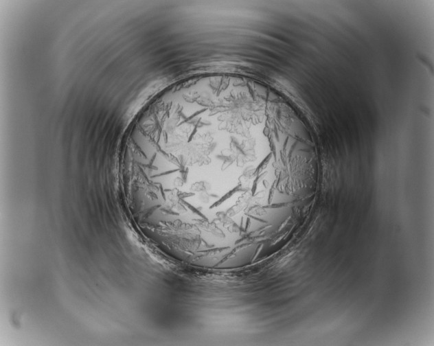 X0000099930994200806131358