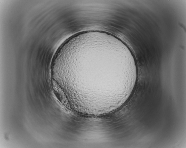 X0000099930996200806131358