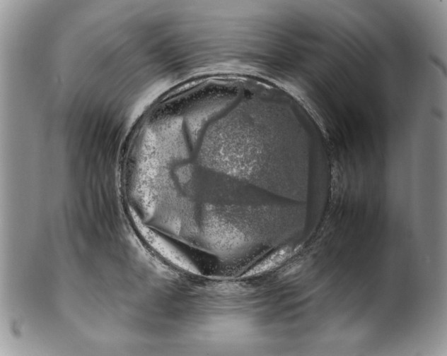 X0000099930998200806131358