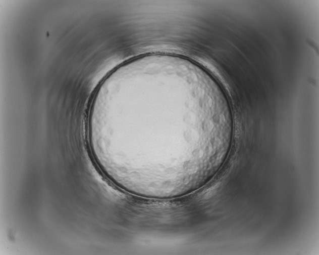 X0000099930999200806131358