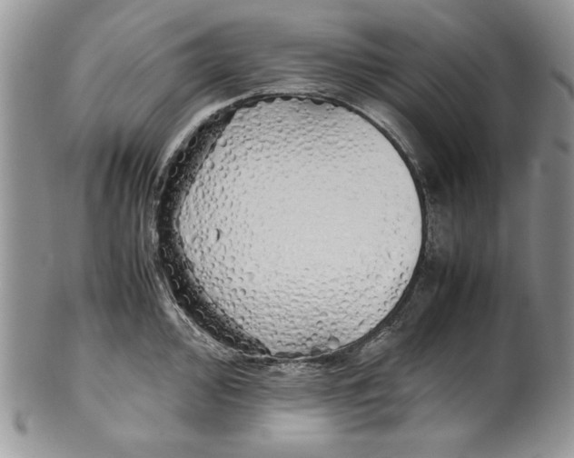 X0000099931000200806131358