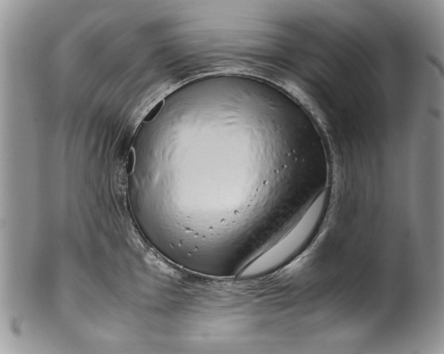 X0000099931001200806131358