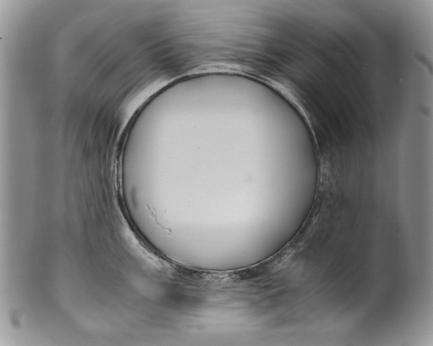 X0000099931003200806131358