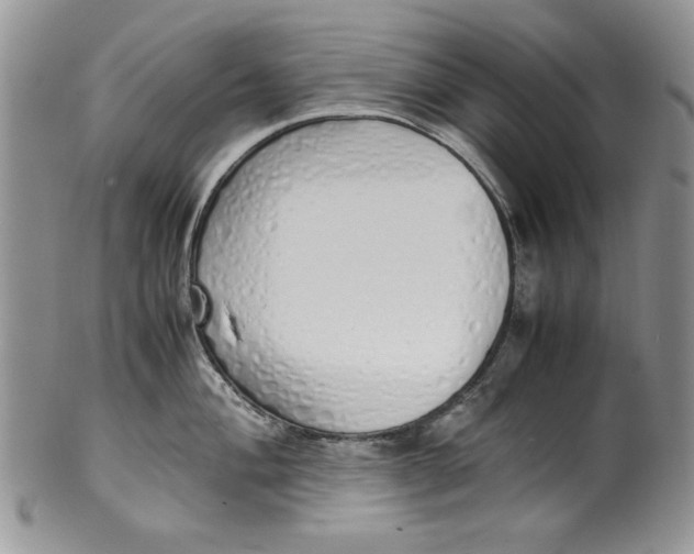 X0000099931004200806131358