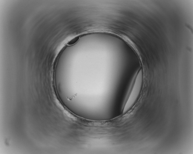 X0000099931005200806131358