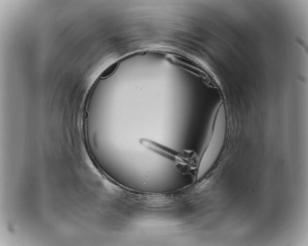 X0000099931007200806131358