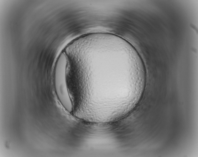 X0000099931008200806131358