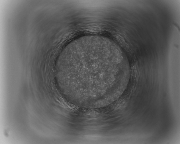 X0000099931009200806131357