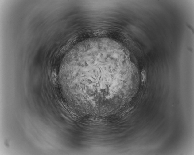 X0000099931011200806131357