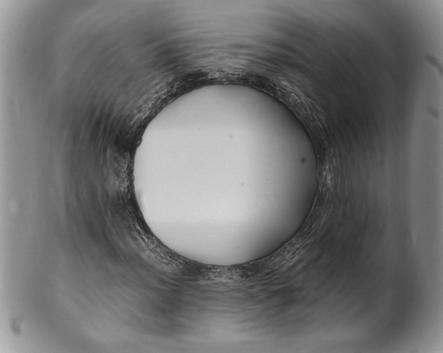 X0000099931012200806131357