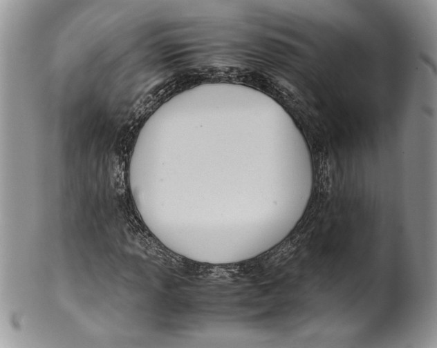 X0000099931013200806131357