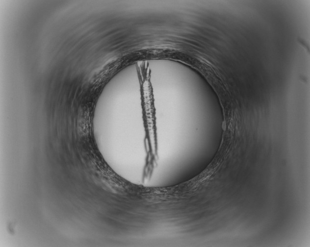 X0000099931014200806131357