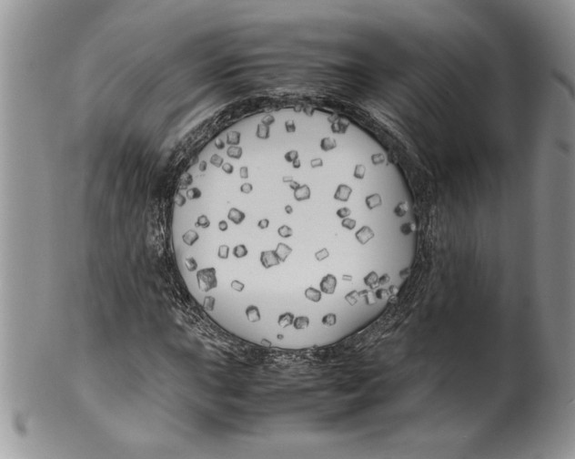 X0000099931015200806131357