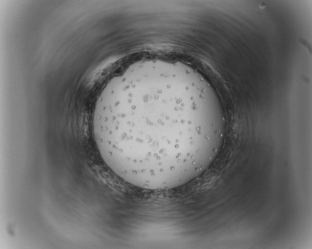 X0000099931016200806131357