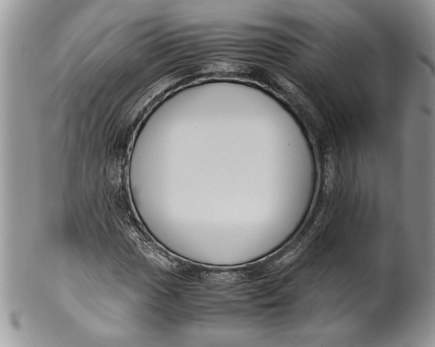 X0000099931017200806131357