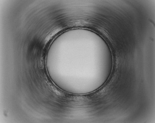 X0000099931018200806131357