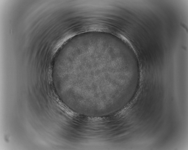 X0000099931019200806131357