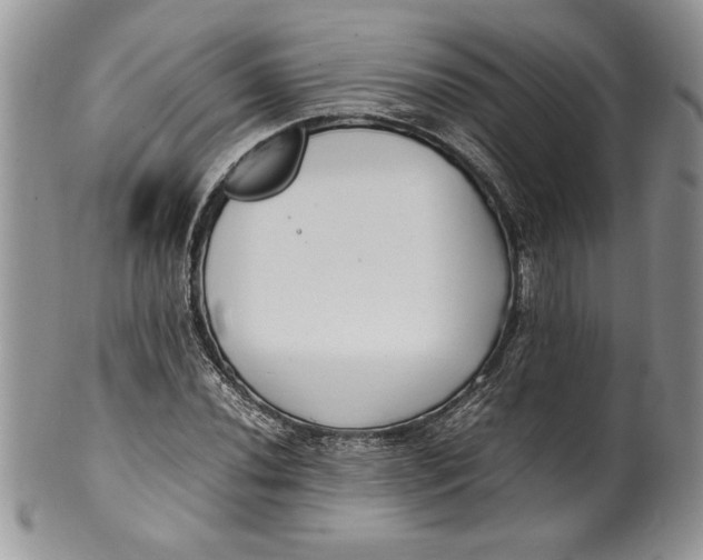 X0000099931020200806131357