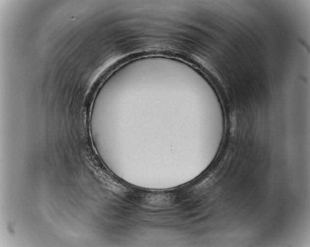 X0000099931021200806131357