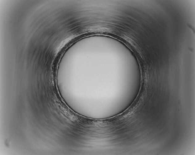 X0000099931022200806131357