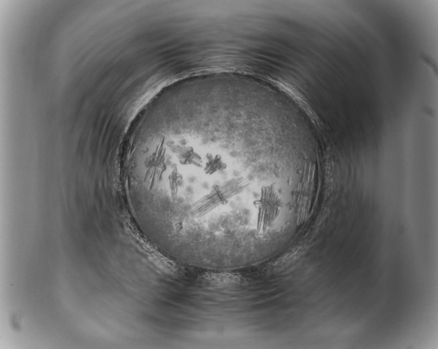 X0000099931023200806131357