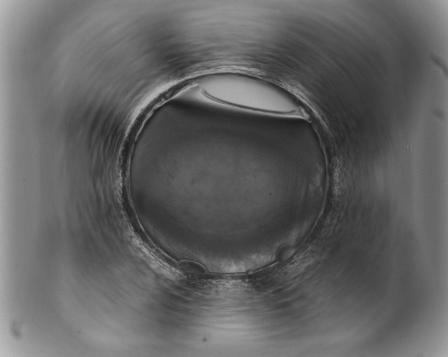 X0000099931024200806131357