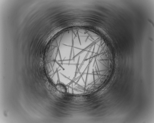 X0000099931025200806131357